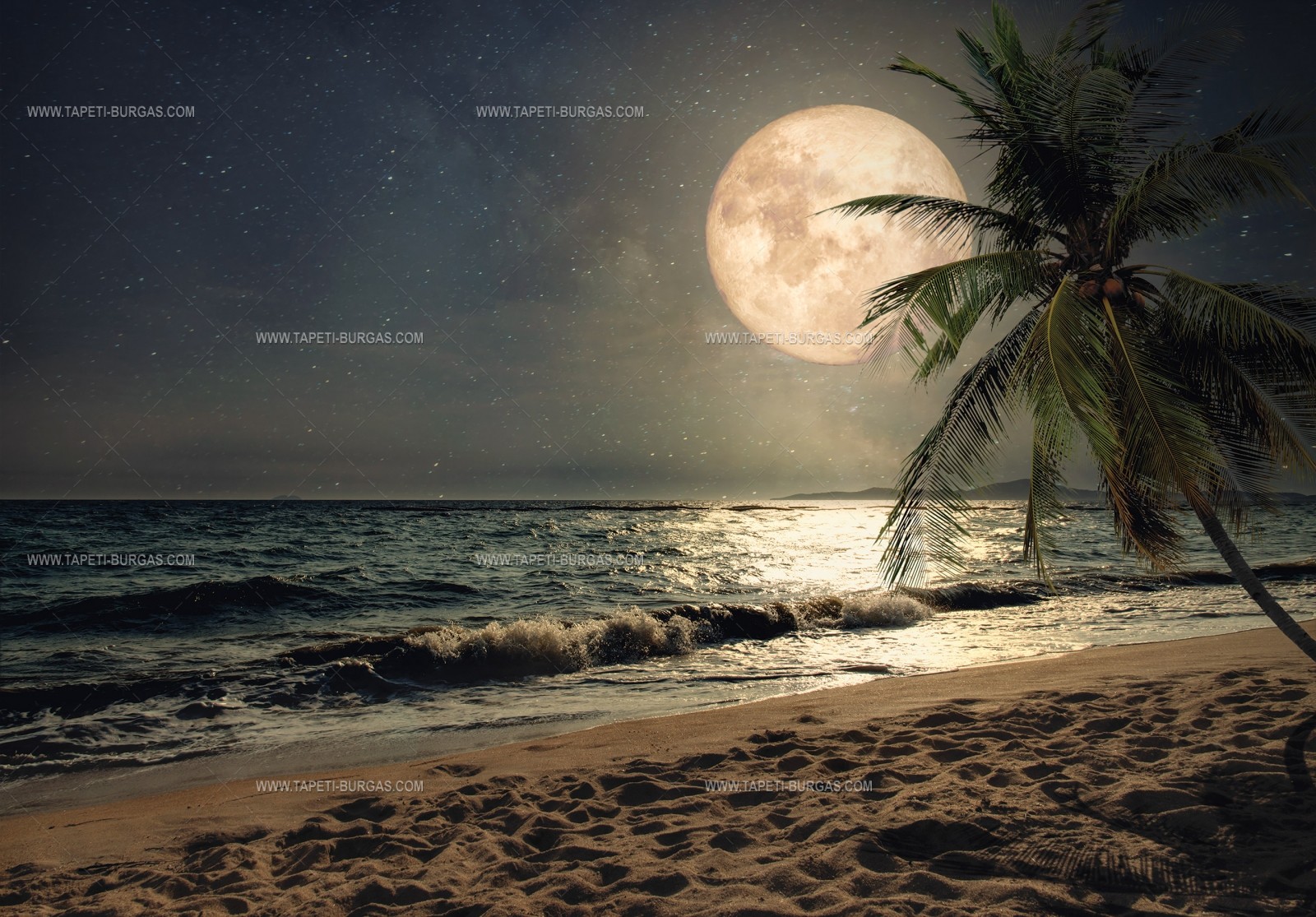 Флис Фототапет Пълнолуние в топла карибска нощ